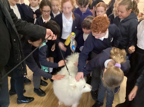 Kites and Eagles at Mass
